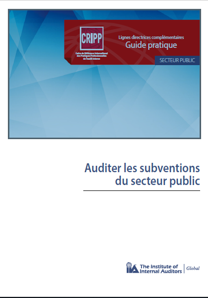 Cover of AUDITER LES SUBVENTIONS DU SECTEUR PUBLIC