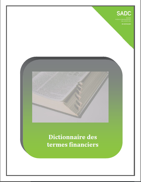 Cover of DICTIONNAIRE DES TERMES FINANCIERS