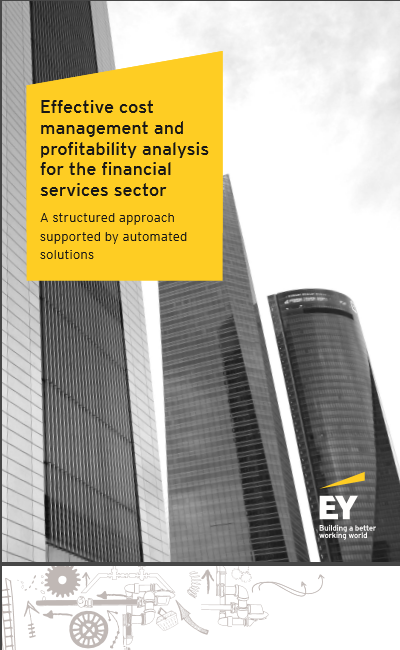 Cover of EFFECTIVE COST MANAGEMENT AND PROFITABILITY ANALYSIS 