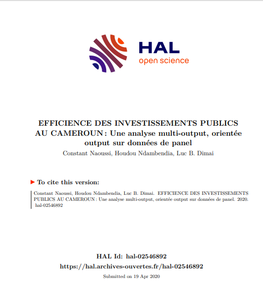 EFFICIENCE DES  INVESTISSEMENTS PUBLICS AU CAMEROU...