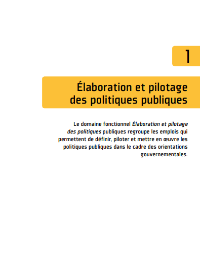 Cover of ELABORATION ET PILOTAGE DES POLITIQUES PUBLIQUES