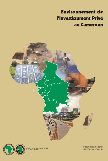 Cover of ENVIRONNEMENT DE LINVESTISSEMENT PRIVE AU CAMEROUN