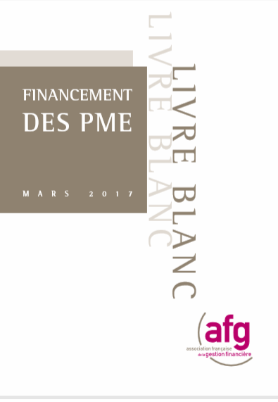 Cover of FINANCEMENT DES PME