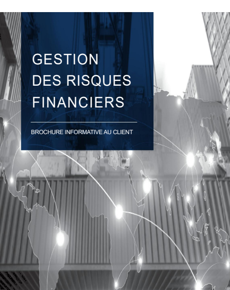 Cover of GESTION DES RISQUES  FINANCIERS