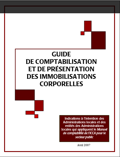 Cover of GUIDE DE COMPTABILISATION ET DE PRESENTATION DES IMMOBILISATIONS CORPORELLES