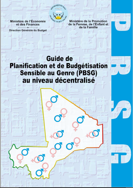 Cover of GUIDE DE PLANIFICATION DE SUIVI EVALUATION AXEE SUR LES RESULTATS