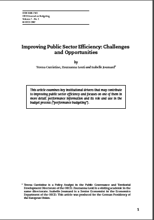 Cover of IMPROVING PUBLIC SECTOR EFFICIENCY CHALLENGES AND OPPORTUNITIES