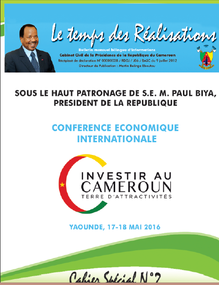 Cover of INVESTIR AU CAMEROUN