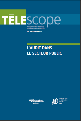 Cover of LAUDIT DANS LE SECTEUR PUBLIC VOL 18