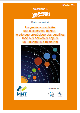 Cover of LA GESTION CONSOLIDEE DES COLLECTIVITES LOCALES