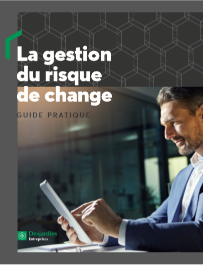 Cover of LA GESTION DU RISQUE DE CHANGE