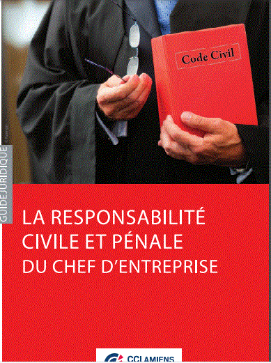Cover of LA RESPONSABILITE CIVILE ET PENALE DU CHEF DENTREPRISE