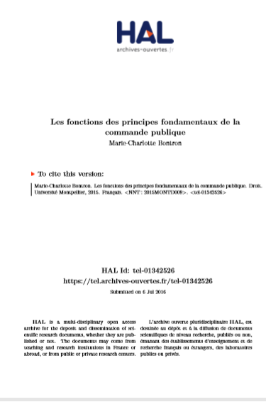 Cover of LES FONCTIONS DES PRINCIPES FONDAMENTAUX DE LA COMMANDE PUBLIQUE