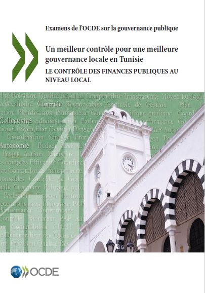 Cover of LE CONTROLE DES FINANCES PUBLIQUES AU NIVEAU LOCAL