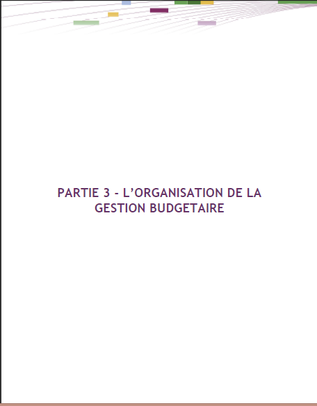 Cover of LORGANISATION DE LA GESTION BUDGETAIRE