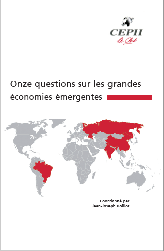 Cover of ONZE QUESTIONS SUR LES GRANDES ECONOMIES EMERGENTES