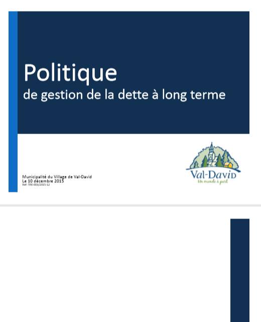 Cover of POLITIQUE DE GESTION DE LA DETTE A LONG TERME