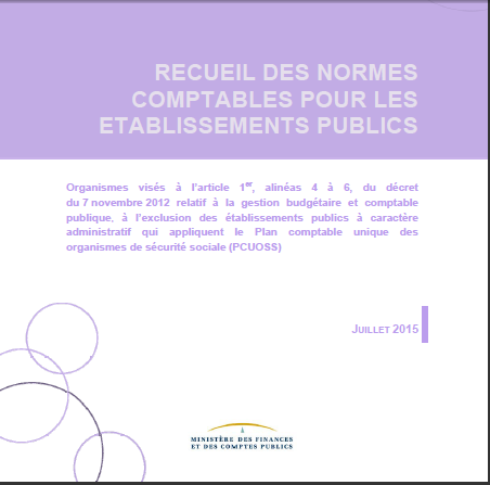 Cover of RECEUIL DES NORMES COMPTABLES POUR LES ETABLISSEMENTS PUBLICS