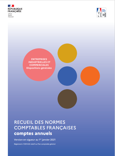Cover of RECEUIL DES  NORMES COMPTABLES FRANCAISE
