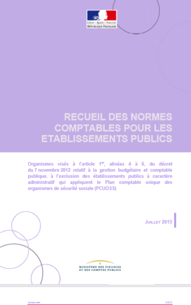 Cover of RECEUIL DES NORMES COMPTABLES POUR ETABLISSEMENTS PUBLICS