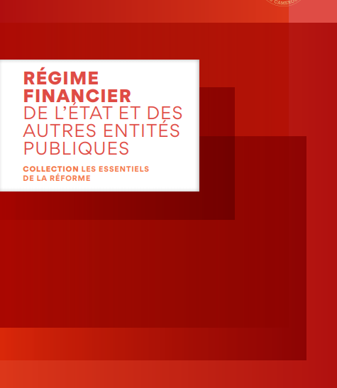 Cover of REGIME FINANCIER DE LETAT ET AUTRES ENTITES PUBLIQUES