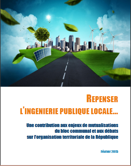 Cover of REPENSER LINGENIERIE PUBLIQUE LOCALE