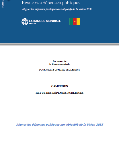 Cover of REVUE DES DEPENSES PUBLIQUES CAMEROUN