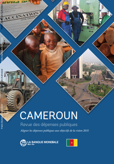 Cover of REVUES DES DEPENSES PUBLIQUES CAMEROUN