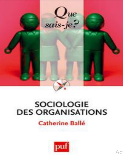 Cover of SOCIOLOGIE DES ORGANISATIONS