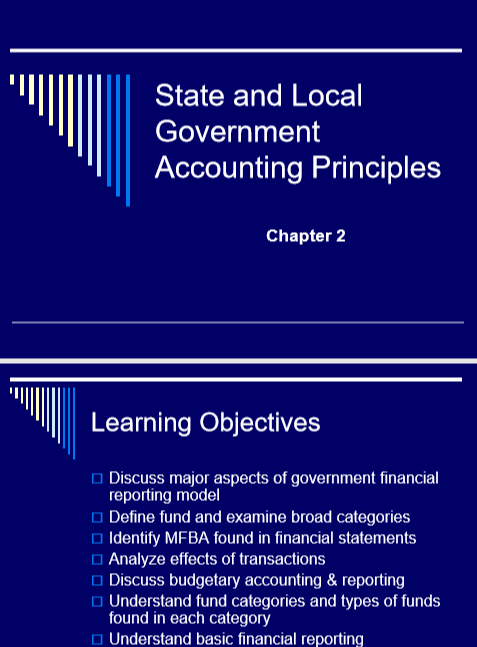 Cover of STATE AND LOCAL GOVERNMENT ACCOUNTING PRINCIPLES