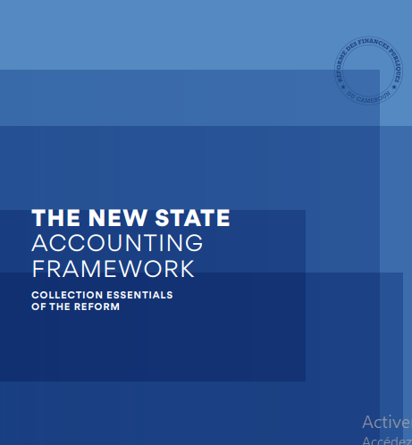 Cover of THE NEW STATE ACCOUNTING FRAMEWORK